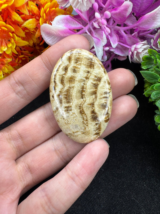 Amazing aragonite gemstone cabochon for jewelry making and wire wrapping beautiful oval aragonite gemstone