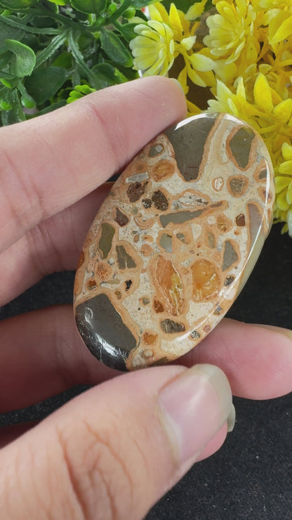 Amazing Natural Leopardite pear cut jasper gemstone cabochon for jewelry making and wire wrapping beautiful oval cut leopardite jasper cabochon gemstone