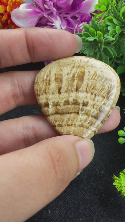 Amazing pear cut aragonite gemstone cabochon for jewelry making and wire wrapping beautiful aragonite gemstone